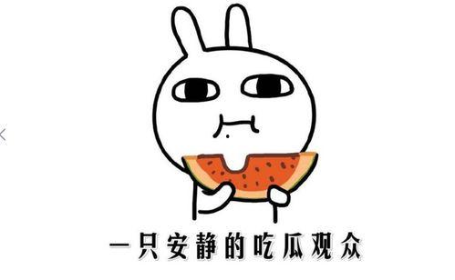 网络上的吃瓜是什么意思,“吃瓜”背后的含义与趣味 第2张 网络上的吃瓜是什么意思,“吃瓜”背后的含义与趣味 第2张