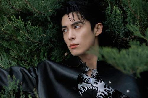 王鹤棣娱乐大爆料吃瓜,揭秘娱乐圈背后的秘密与真相  第3张