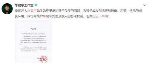 娱乐圈吃瓜的观后感,揭秘明星背后的真相与争议 第2张 娱乐圈吃瓜的观后感,揭秘明星背后的真相与争议 第2张