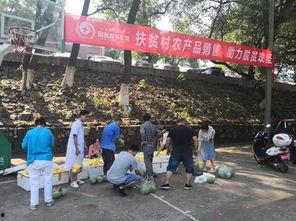 娱乐吃瓜酱贫困户,揭秘贫困户背后的真实故事  第2张