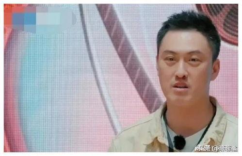 娱乐圈吃瓜爆料博主,揭秘明星背后的秘密与真相  第2张