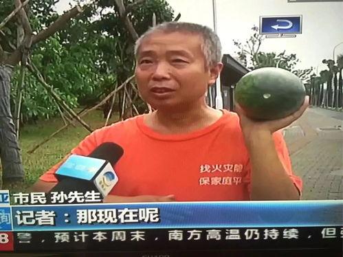 娱乐热门吃瓜事件,揭秘明星幕后恩怨情仇